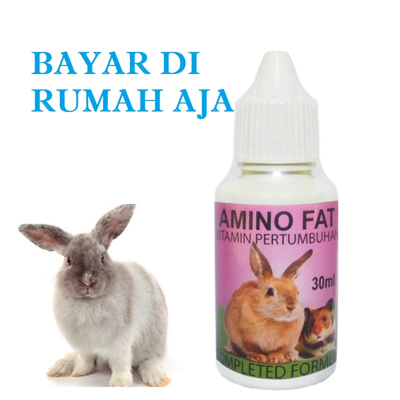 VITAMIN  KELINCI HAMSTER PENAMBAH NAFSU MAKAN AMPUH AMINO FAT