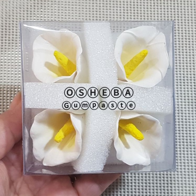 

osheba gumpaste bunga CALLA kecil warna putih