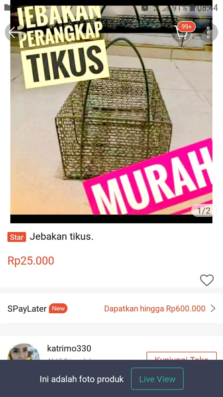 Jebakan Tikus.