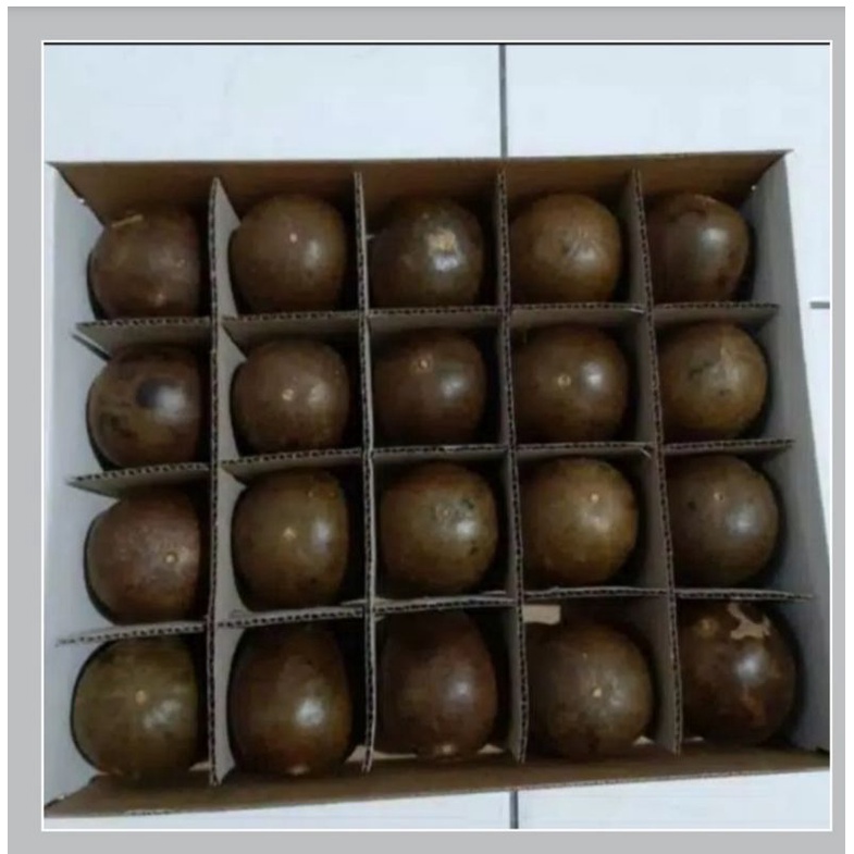 

Buah Lo Han Kuo Perkotak Isi 20biji