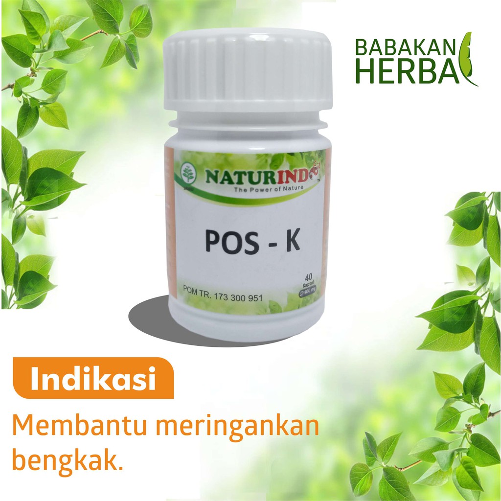 

Naturindo POS-K Babakan Herbal Obat Herbal Menghilangkan Bengkak