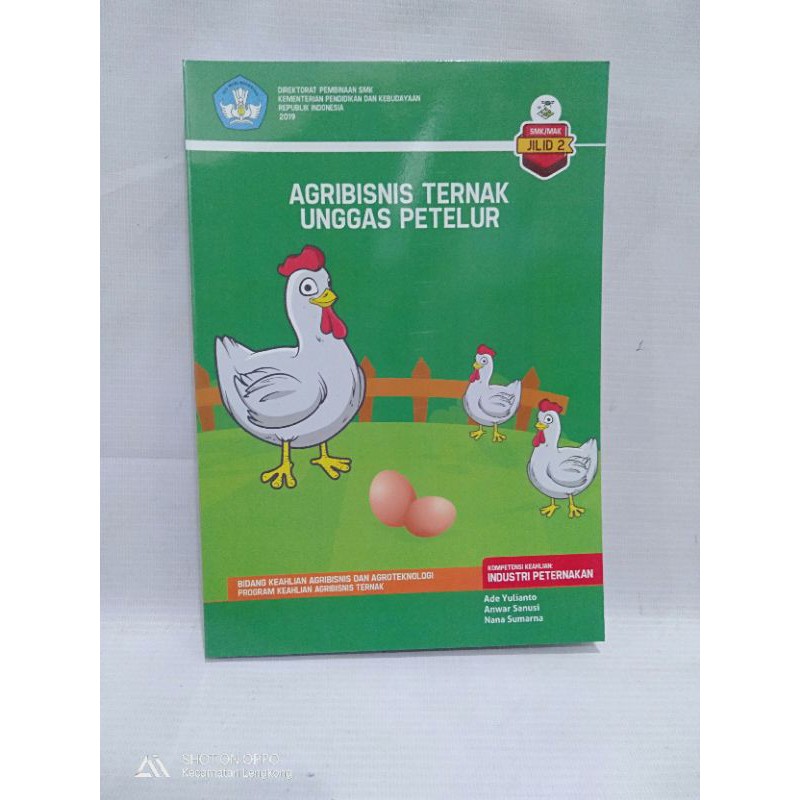 9100 Koleksi Gambar Unggas Petelur HD Terbaik