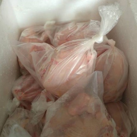 

KIRIM INSTAN Terlaris Ayam Broiler Organik Promo