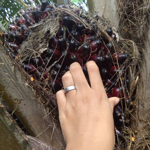 anggunpriyanti29