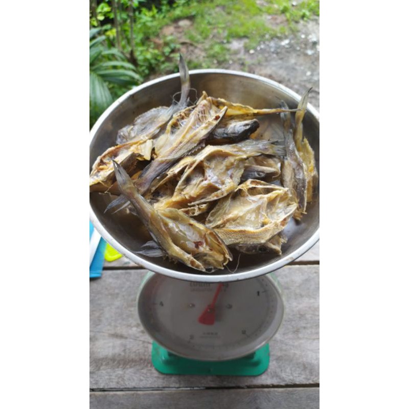 

Ikan Kering Pantik/Baung 250gr