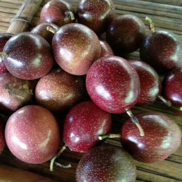 

Buah Markisa Merah Segar 500 gram LF77 ➝