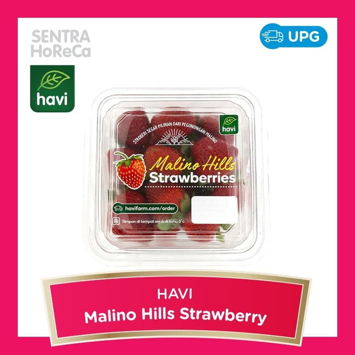 

Fresh Strawberry Stroberi Segar Malino