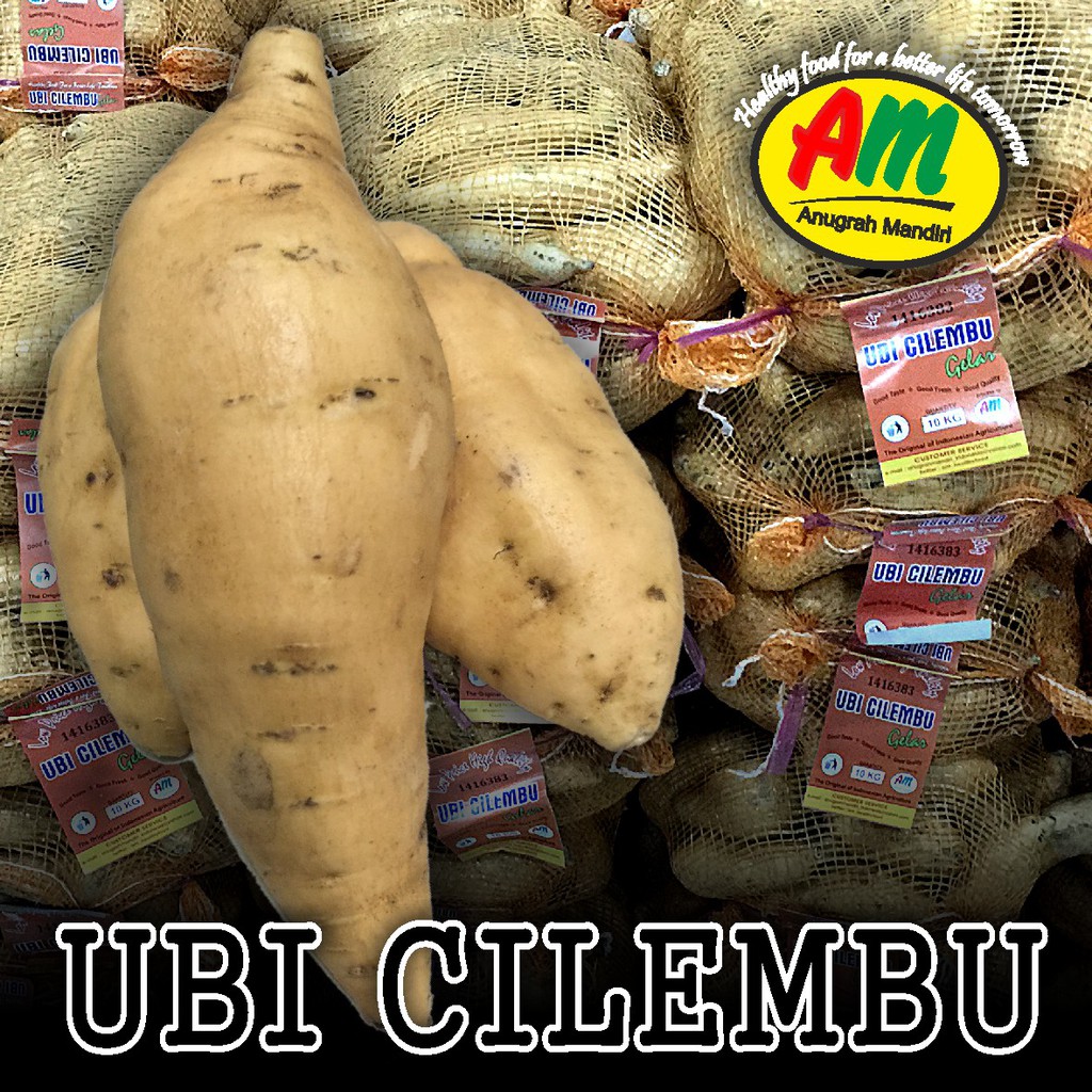

Ubi Madu Cilembu 1 Kg AM