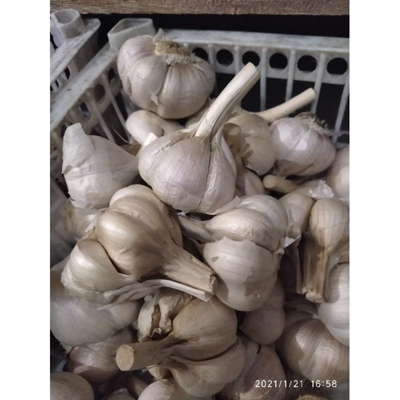 

bawang putih kating 1kg