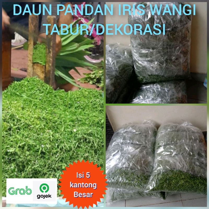 daun pandan iris wangi tabur dan dekorasi 5 kantong besar