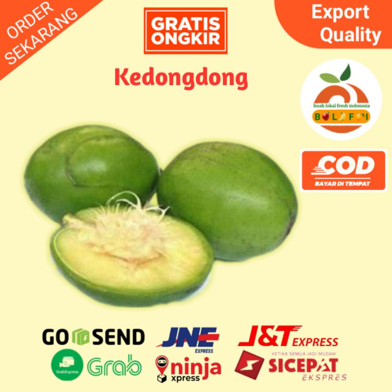 

BUAH KEDONDONG BUAH RUJAKAN KEDONDONG LOKAL