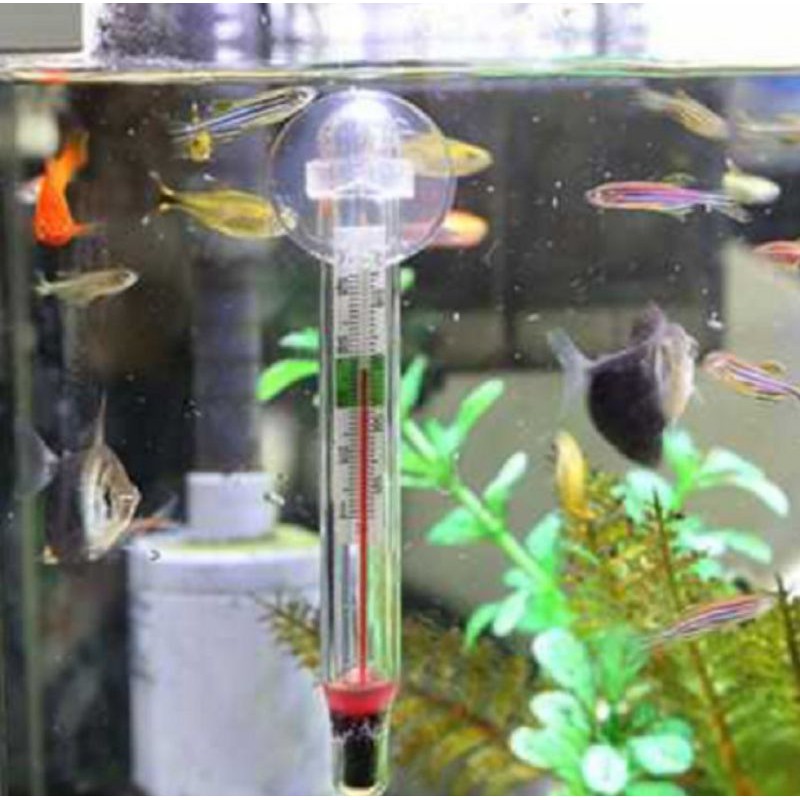 Pengukur Suhu Aquarium Thermometer