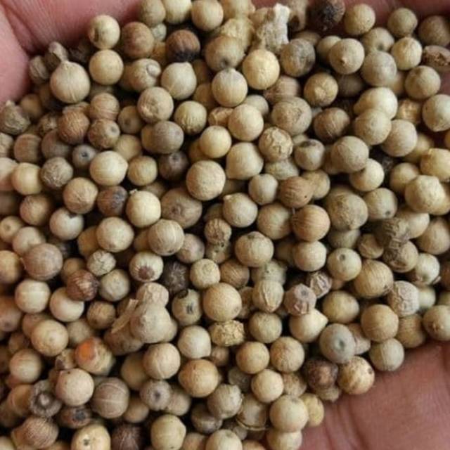 Lada Putih / Biji Merica 500gram