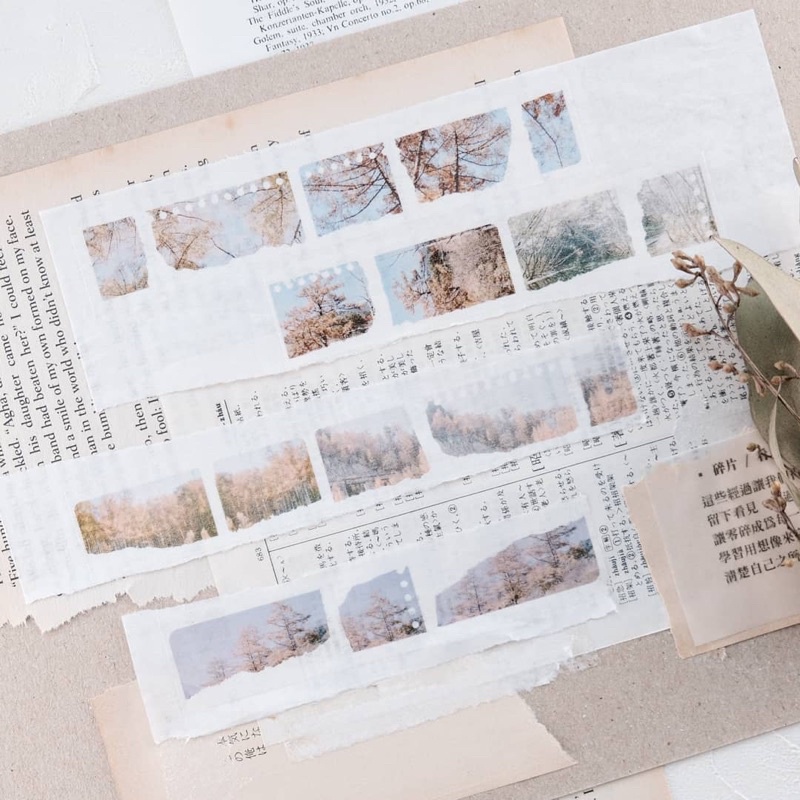 

Stationery Instinct Seen Washitape