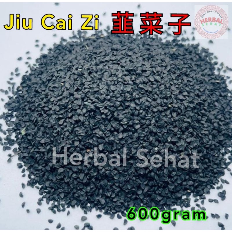 

600 gram - Grade A - Jiu Cai Zi - TUBER ONION SEED 韭菜子 韭菜籽 久菜子 SEMEN ALLII TUBEROSI CHINESE LEEK