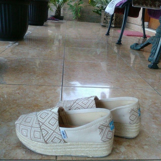 Sepatu_Toms