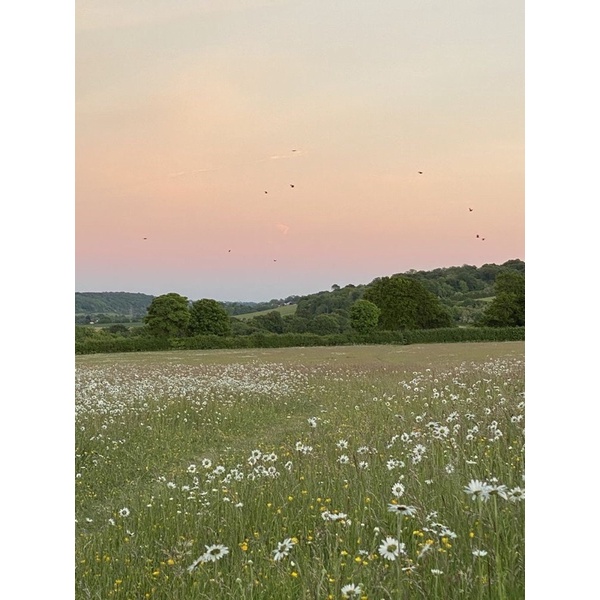 

Bank soal soshum 2022