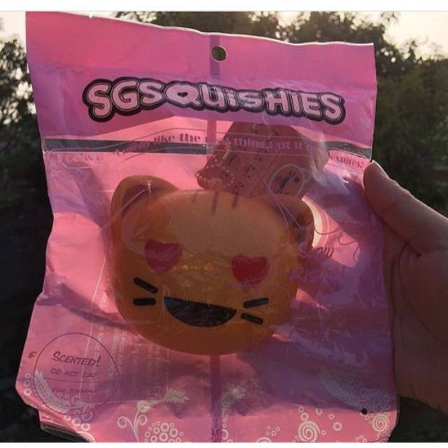 Sg emoji Cat Squishy