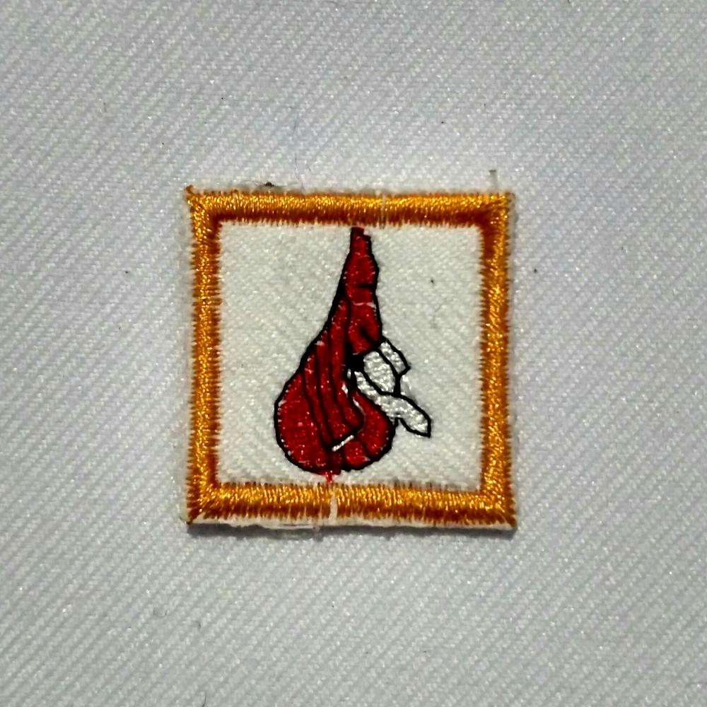 TKK Penegak Madya - Kesehatan Anak Saka Bakti Husada