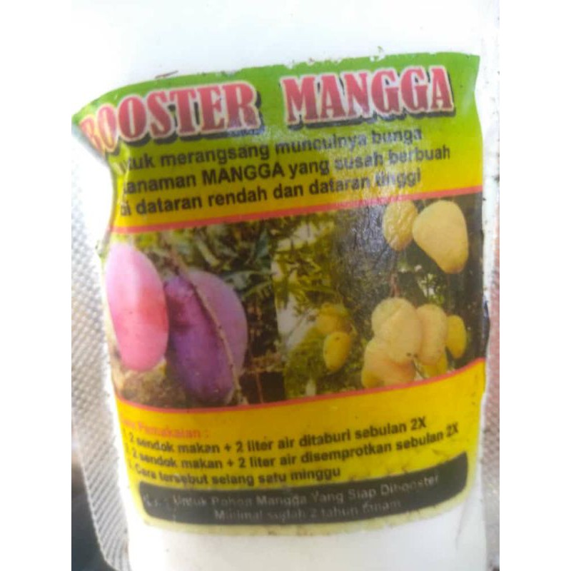 Booster Mangga Perangsang Buah  Bunga-Pupuk Boster Perangsang Buah Mangga Berkualitas