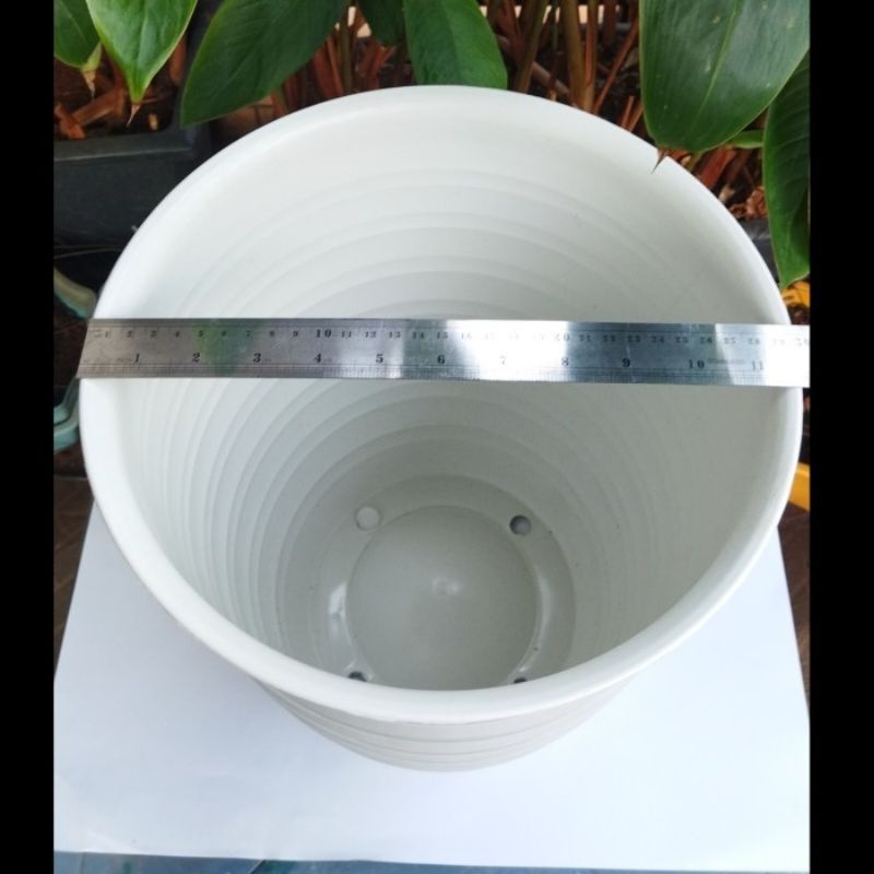 Pot Tirus 30 Diameter 30 cm Pot Pirus Tirus Jumbo 30 Putih Bahan Tebal Pot Tawon Pirus 30 Tinggi