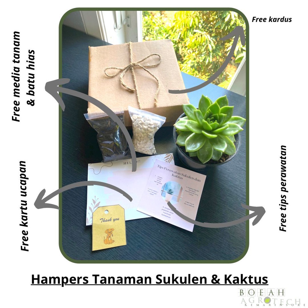 Hampers Tanaman Sukulen Minimalis Premium/ Hampers Gift/ Hampers Lebaran/ Wedding Souvenir/ Christmas Hampers/ Valentine Gift/ Birthday Gift