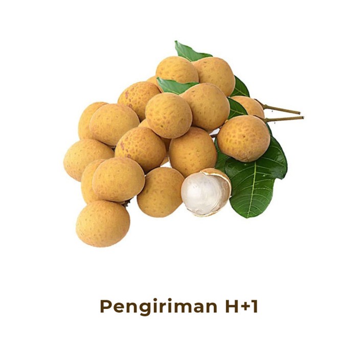 

Kelengkeng Lokal Segar