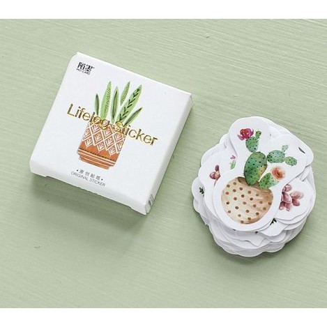 Lifelog Label Stickers - Succulent (45pcs)