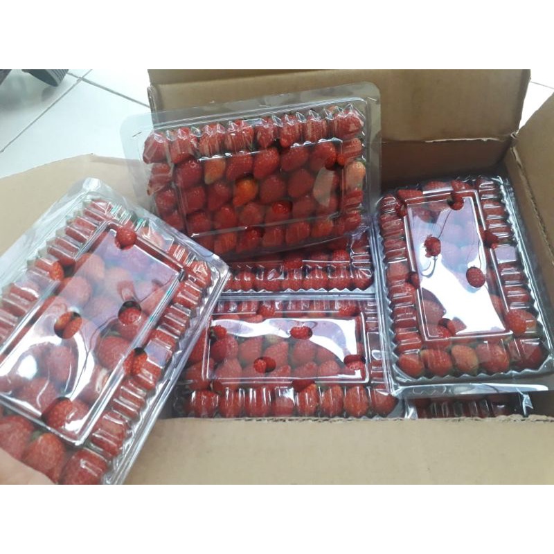 

Stroberry segar (Bandung only)