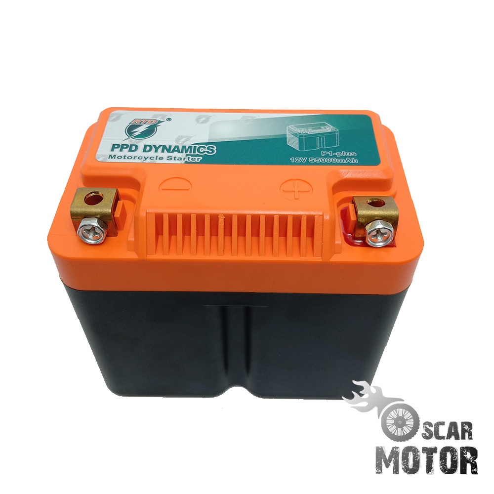 AKI BATERAI RAYTON LITHIUM IRON PHOSPATE LIFEPO4 RECHARGE PREMIUM RTD motor