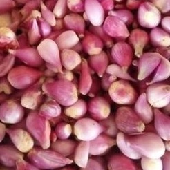 

bawang merah iris/kupas