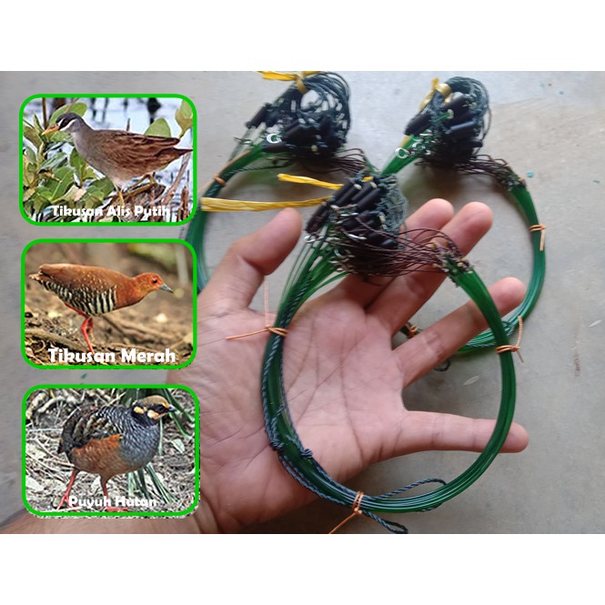 Segi 3 Jerat Gantung Perangkap Burung Tikusan Sintar Merah dan Puyuh Hutan