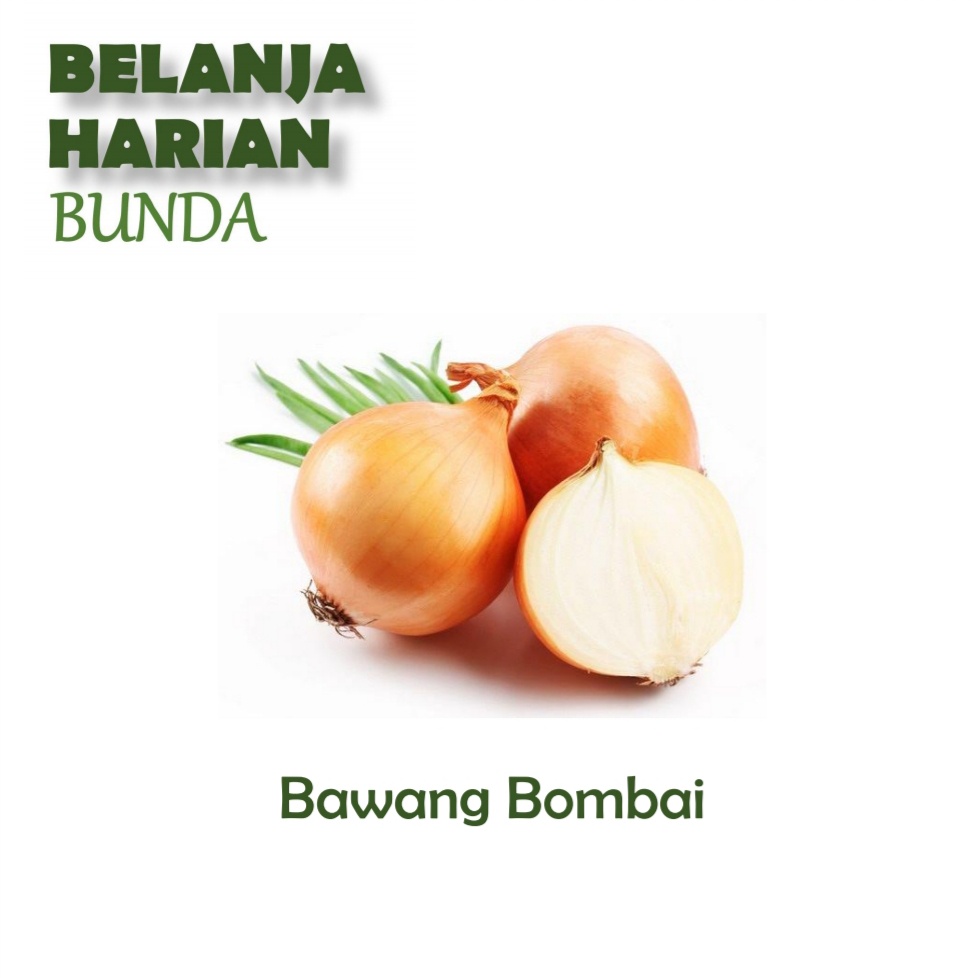 

bawang bombai 1pcs