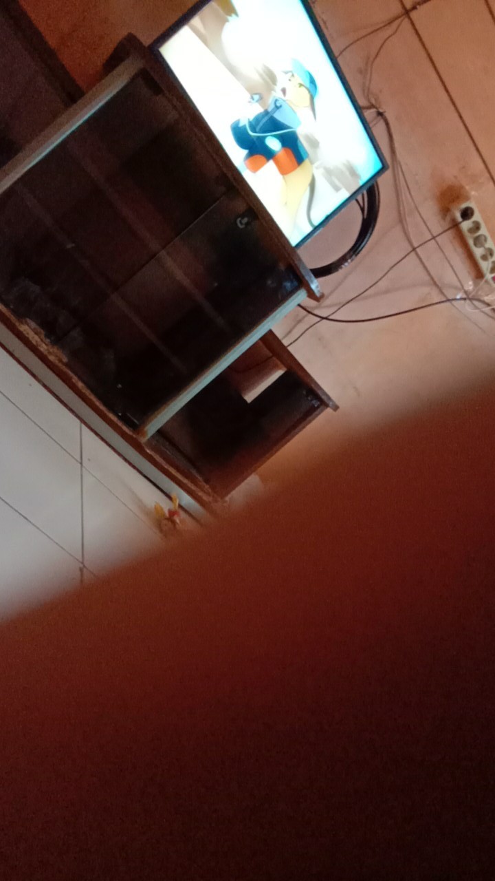 Arang Briket Batok Kelapa Kualitas Eksport Charcoal Briquette