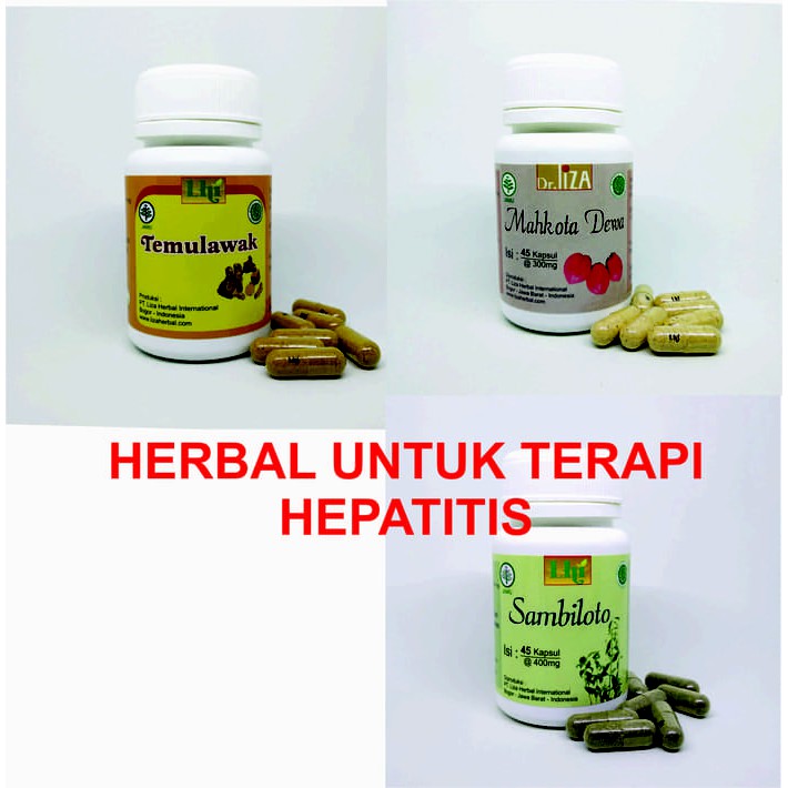 

Herbal Untuk Terapi Hepatitis