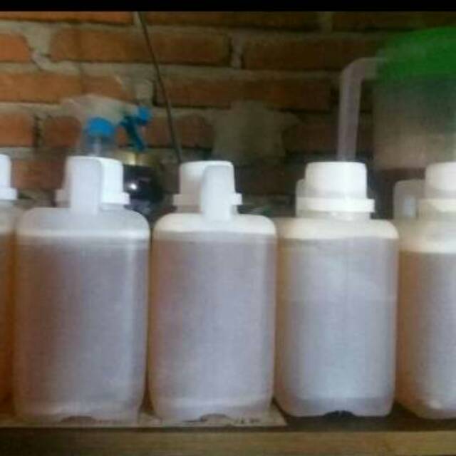 

Madu murni asli sumbawa