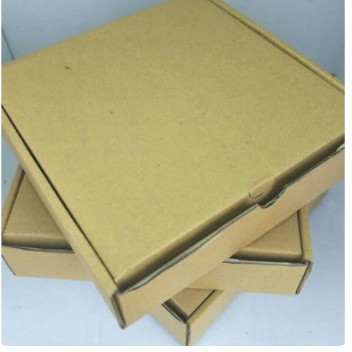 

Box Pizza 26x26x4cm [eceran]