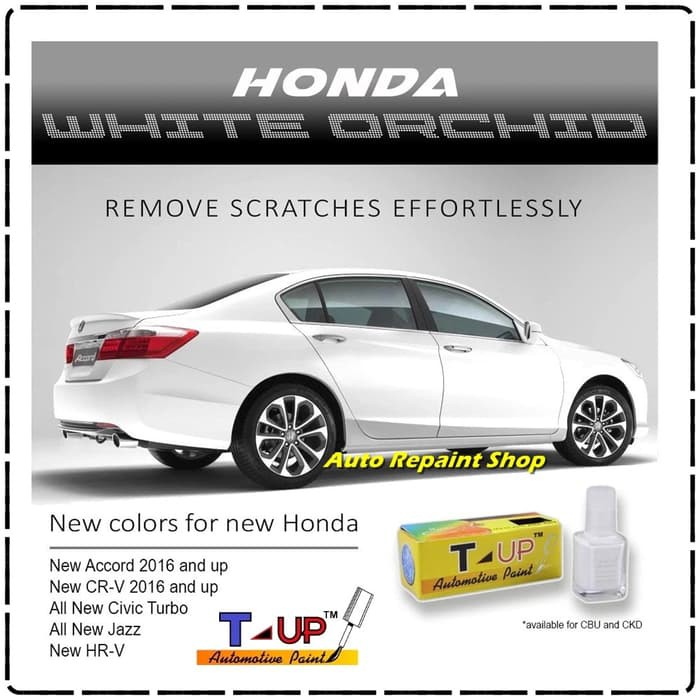 Auto Paint Touch Up >> Honda White Orchid Pearl Cat Oles T Up Touch Up Automotive Paint Auto Paint Touch Up >> Honda White Orchid Pearl Cat Oles T Up Touch Up Automotive Paint