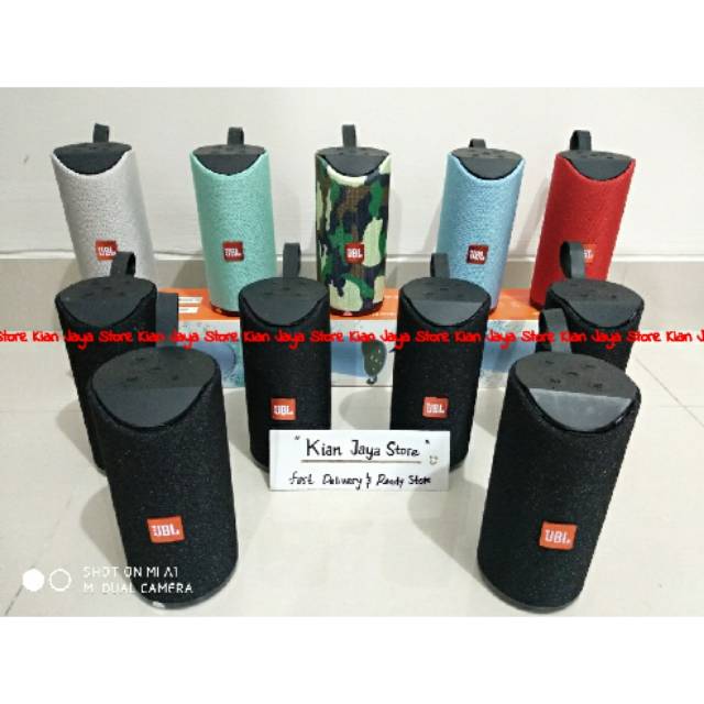 jbl t113