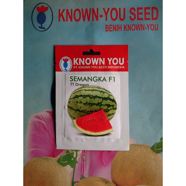 Benih Semangka Merah TT DRAGON