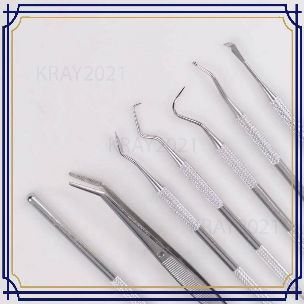 Peralatan Set Dokter Gigi Dentist Dental Tool 7 PCS HT108