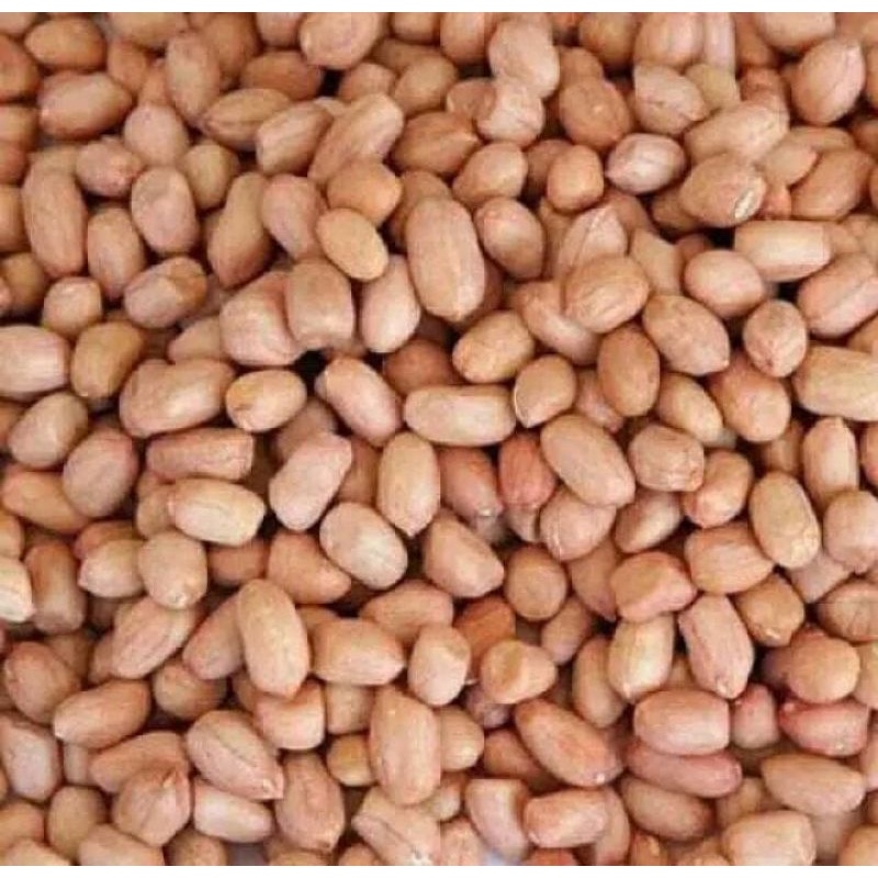 

Kacang Tanah Bali