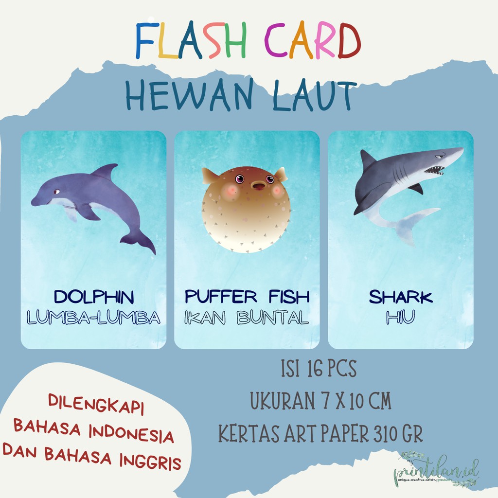 Jual Flash Card Hewan Laut Flashcard Sea Creatures Mainan Edukasi