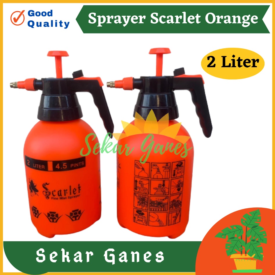 Semprotan Sprayer Tanaman 2 Liter Scarlet Orange Semprotan Disinfektan 2 Liter Hand Sprayer Tanaman Air Burung - SEMPROTAN AIR 2 LITER L OEM JET PUMP PREASSURE SPRAYER TANAMAN AIR MANDI BURUNG HAMA DESINFEKTAN S2OEM TERMURAH BAHAN BAGUS