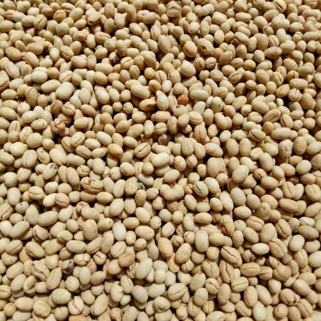 

Kopi lanang asli garut U.R COFFEE