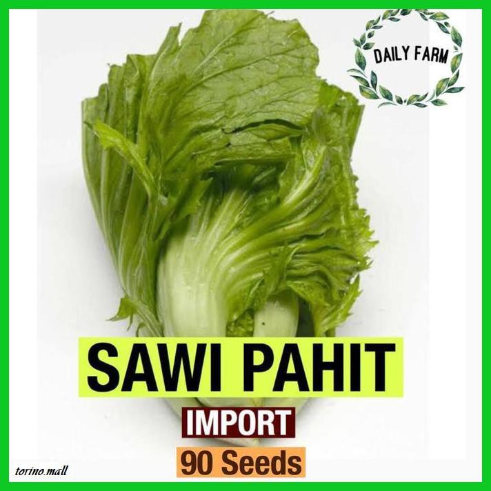

Nainatrepukub- Bibit Sayuran Daun 30 Hari Panen - Daily Farm - Sawi Pahit -Ukub.
