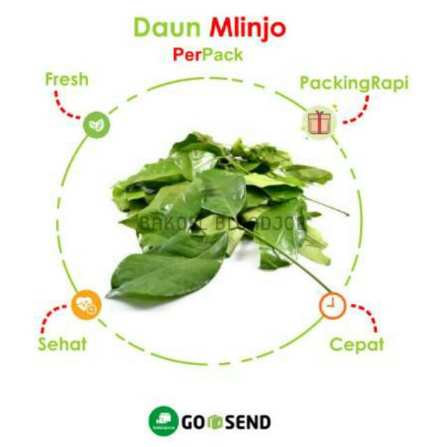 

DAUN SOO PER PACK / MLINJO / MELINJO / SAYUR SAYURAN SEGAR / FRESH VEGETABLES / VEGETABLE