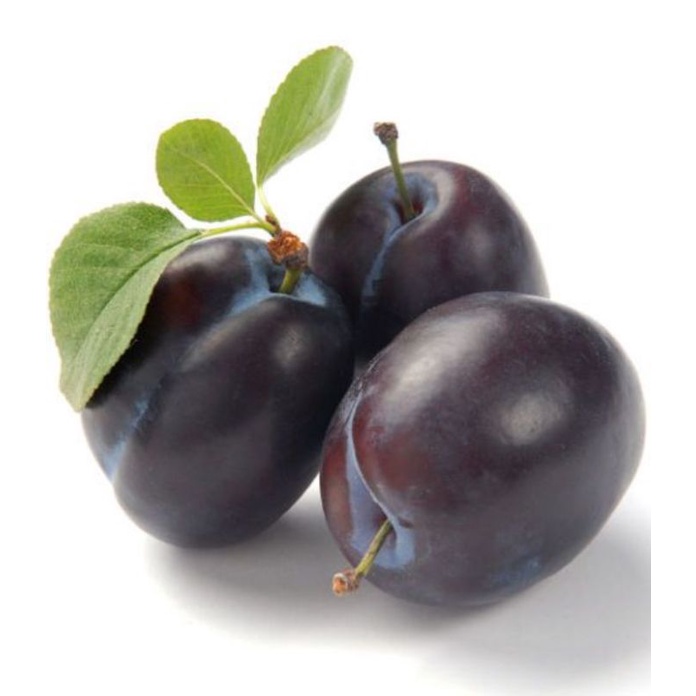 Buah Plum Segar / Berat 1 kg