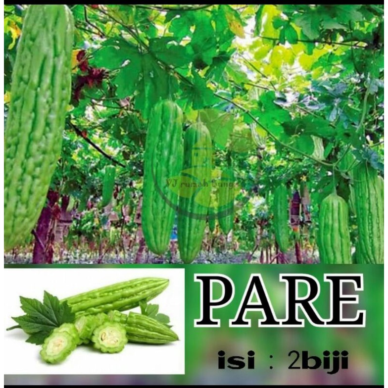 benih bibit sayuran pare