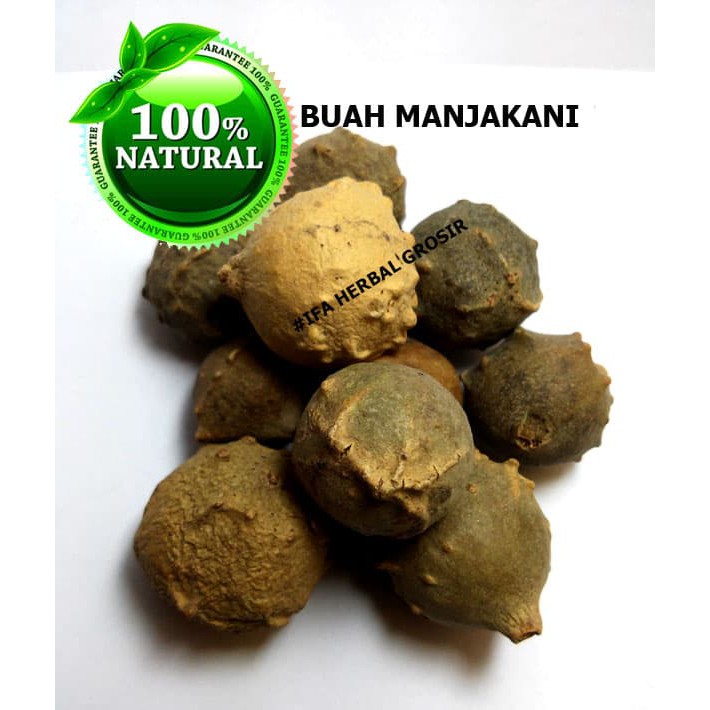 

Jamu Herbal Tradisional Buah Manjakani U Pengobatan Penyakit Keputiha